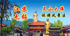 免费肏B视频江苏无锡灵山大佛旅游风景区