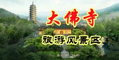 黄b射网站中国浙江-新昌大佛寺旅游风景区